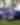 Cars & Coffee — Youngtimers