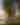 Silver Birches Resort
