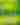 Color Me Green