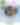 World Migratory Bird Days at the Museum of Natural History