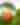 Make Your Own Spring Flower Marble - May 2026