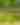 "Shades of Green" Exhibit