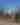 Tucson Clean & Beautiful, Inc.