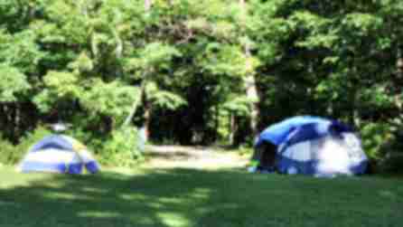 Chenango Valley State Park