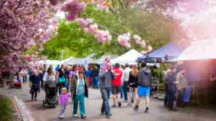 Credit: Andy Buscemi