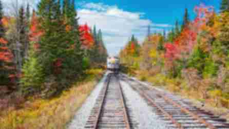 A view down a railroad track with a train coming towards the camera with green, red, and yellow trees on either side on a sunny day with a few clouds in the sky