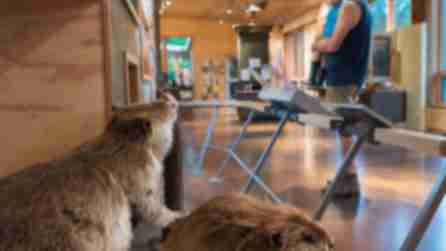 Five Rivers Environmental Education Center, Delmar,NY- Albany County, Capital-Saratoga Region