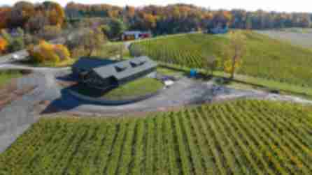 Niagara Wine Trail