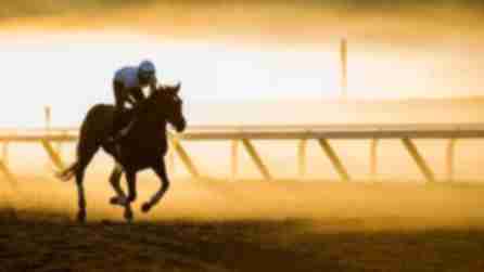 Early Morning workout at Saratoga Race Course