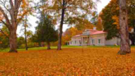 Orange leaves blanket the ground in front of the stately Hyde Hall mansion in Cooperstown