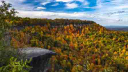 View from John Boyd Thacher State Park overlooking miles of trees in fall colors