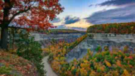 A view of Letchworth State Park in the fall as leaves turns shades of crimson and gold