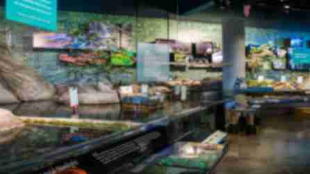 A photo of inside the Wild Center