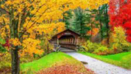 Covered bridge surrounded by fall foliage at Allegany State Park