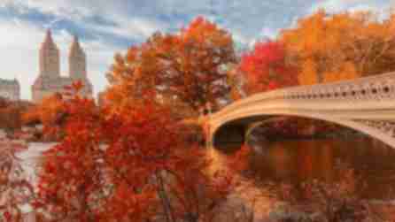 Central Park