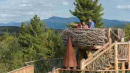 A family perched in a giant eagle's nest overlooking the Adirondacks