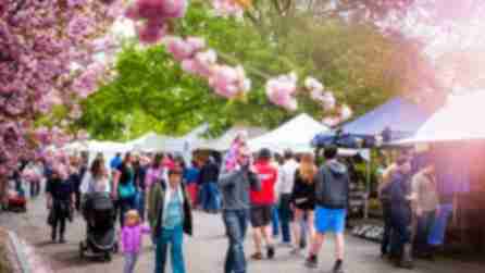 Credit: Andy Buscemi