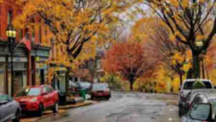 Street view of orange and red trees surrounding shops in Beacon, NY