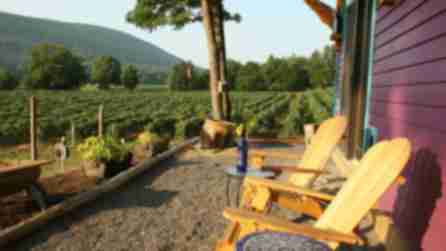 Two Adirondack chairs on a terrace next to a vineyard in the Finger Lakes, NY.