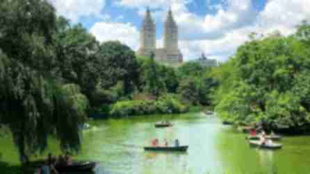 Central Park