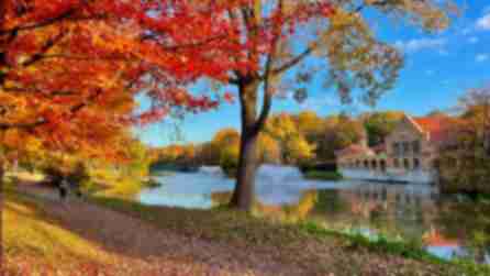 Washington Park