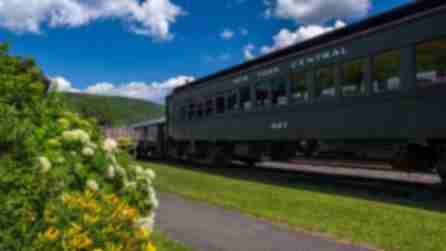 Train car surrounded by lush greenery