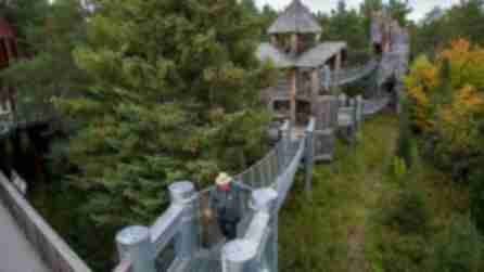 A man with a cane walks around an elevated bridge connecting tree houses surrounded by green trees at the Wild Center & Wild Walk in the Adirondacks