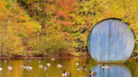 A floating sculpture in the pond at Nassau County Museum of art surrounded by geese and fall foliage.