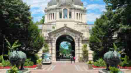 Bronx Zoo