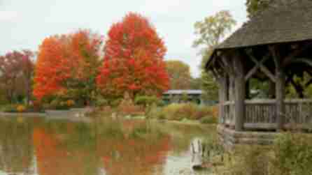 Trees bright in red foliage reflected on the lake's surface at Prospect Park in Brooklyn