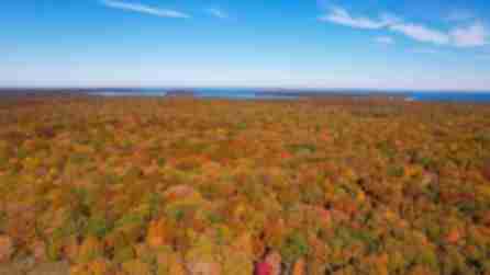 Aerial view of Mashomack Preserve with autumn foliage in red, orange, and yellow tones, under a clear blue sky with water visible in the distance. Photo Credit: @robthomas31 on Instagram.