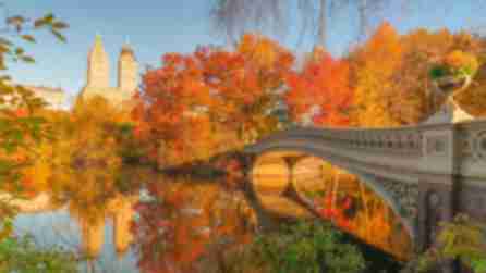 A bridge leads into trees with orange and yellow leaves with two buildings in the distance