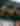 Things to Do - Summer 2025 - 1903x679