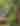 couple hiking through trees and red sandstone rock