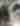 GATORLAND’S GATORS, GHOSTS & GOBLINS