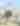 Ocala’s World Equestrian Center, jumper