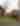 Manapouri Motels & Holiday Park