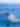 sailfish