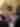 1355413732_vf_murder_mystery_train_photo_dining.jpg.1020.680.imagerendition