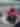 the Indy Racing Experience at Walt Disney World, Indy car