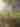 Jacksonville - Congaree & Penn - Farm - 005 - 2023 (Emergent)