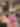 PET-FRIENDLY%20JACKSONVILLE%202.jpg