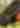Off the Track Header
