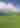 Newport International Polo Series
