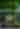 2025 NFL Draft Photo Gallery