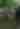 Kid-Friendly Hiking Destinations in New York State