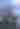 Tall Ships
