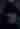 AngCo After Dark Haunted Corn Field
