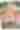 2025 INSIDER Stacked