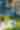 familyheader